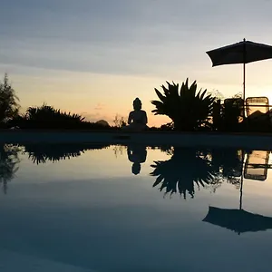 Ti Coin De Paradis Frangipanier , Le Diamant Martinique
